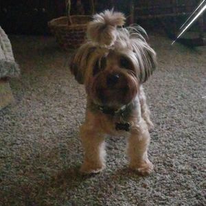 Meet your Posher, Norma jean